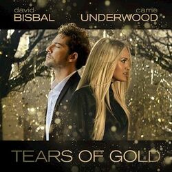 Tears Of Gold Chords by David Bisbal
