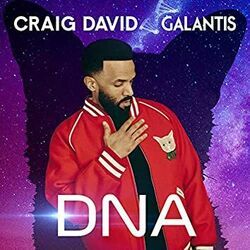 Dna by Craig David