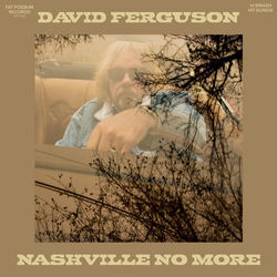 Knocking Around Nashville by David Ferguson