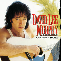 Dust On The Bottle by David Lee Murphy