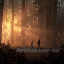 Poor Wayfaring Stranger Chords by David Odowda