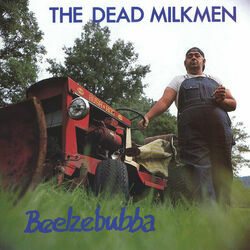 The Guitar Song Chords by The Dead Milkmen