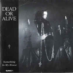 Something In My House by Dead Or Alive