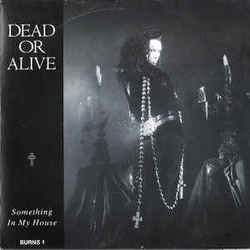 Something In My House Chords by Dead Or Alive