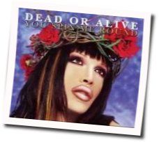 You Spin Me Right Round Chords by Dead Or Alive