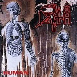 Flattening Of Emotions Bass Tab by Death