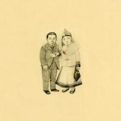 The Crane Wife 3 Tabs by The Decemberists