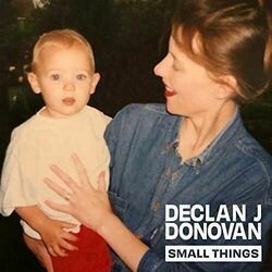 Small Things by Declan J Donovan