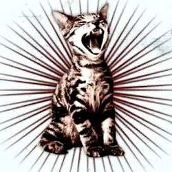 Like Linus Intro by Deftones