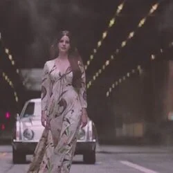 White Mustang Chords by Lana Del Rey