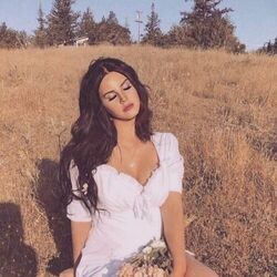 Cinnamon Chords by Lana Del Rey