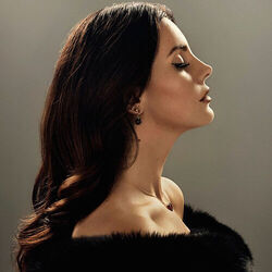 Daytona Meth Chords by Lana Del Rey