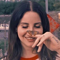 Happiness Is A Butterfly  by Lana Del Rey