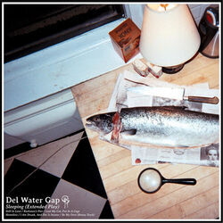Homeless Tab by Del Water Gap