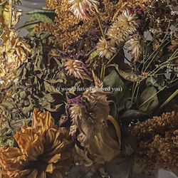 Delaney Bailey chords for I would have followed you