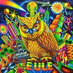 Eule Chords by Jan Delay