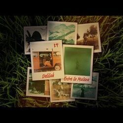 Entre La Maleza Chords by Delilah