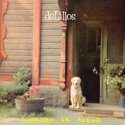 Hjernen Er Alene by DeLillos