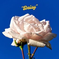 Daisy Chords by Delorians