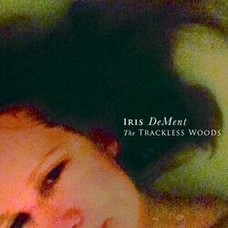 From An Airplane Ukulele by Iris Dement