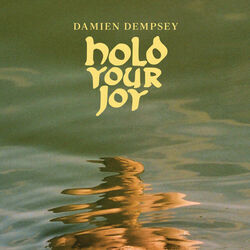 Let It Go Chords by Damien Dempsey