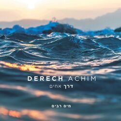 Mayim Rabim Chords by Derech Achim