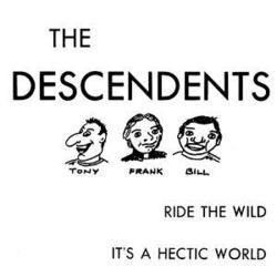 Ride The Wild Bass Tab by Descendents