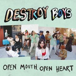 All This Love by Destroy Boys