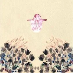 I Remember Chords by Devendra Banhart