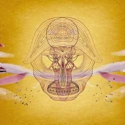 Chin Chin And Muck Muck by Devendra Banhart