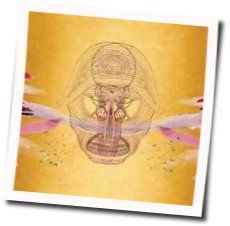 Foolin Tab by Devendra Banhart