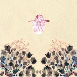 I Remember Chords by Devendra Banhart