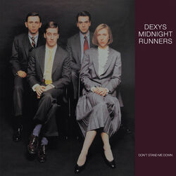 The Occasional Flicker Chords by Dexys Midnight Runners