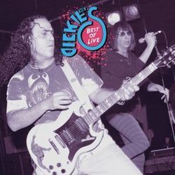 If Stuart Could Talk Chords by The Dickies