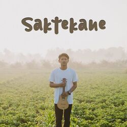 Saktekane Chords by Didik Budi