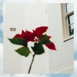 Raw Stuff Chords by Didirri