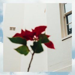 Raw Stuff Chords by Didirri