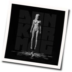 Strunk Chords by Die Antwoord