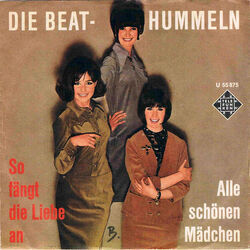 So Fängt Die Liebe An Chords by Die Beat Hummeln