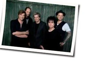 Laune Der Natur Chords by Die Toten Hosen