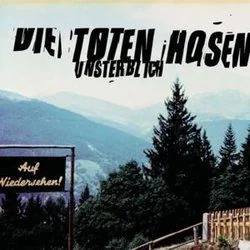 Meine Stadt Chords by Die Toten Hosen
