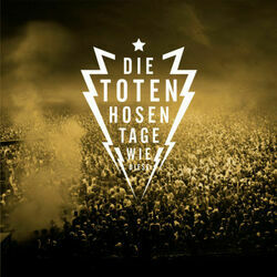 An Tagen Wie Diesen by Die Toten Hosen