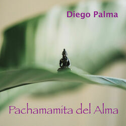 Ayahuasca Ayni Chords by Diego Palma
