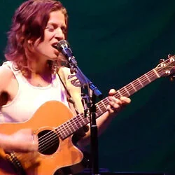 Studying Stones Tab by Ani Difranco