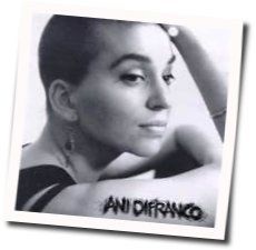 Lost Woman Song by Ani Difranco
