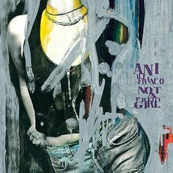 The Million You Never Made by Ani Difranco