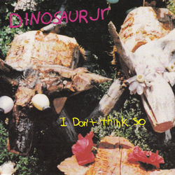 Don't Chords by Dinosaur Jr.