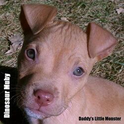 Goodies Chords by Dinosaur Muby