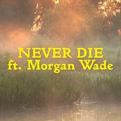 Never Die Chords by Diplo, Morgan Wade