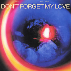 Don't Forget My Love Chords by Diplo